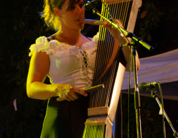 Concerts-18-juillet-2014-