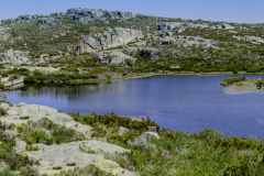 Panoramas